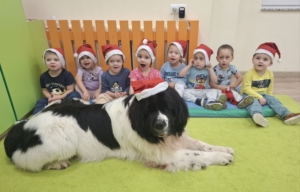 Dogoterapia dla dzieci w żłobku w Opolu